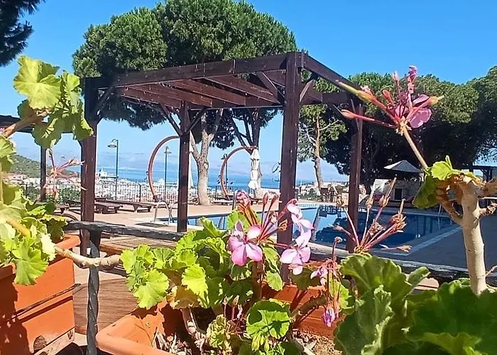 My Solmaz 3* Чешме