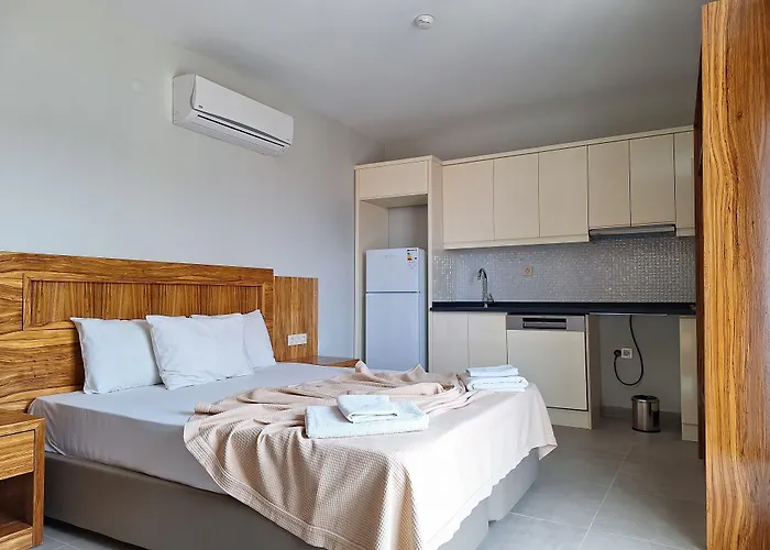 脉索尔马兹酒店